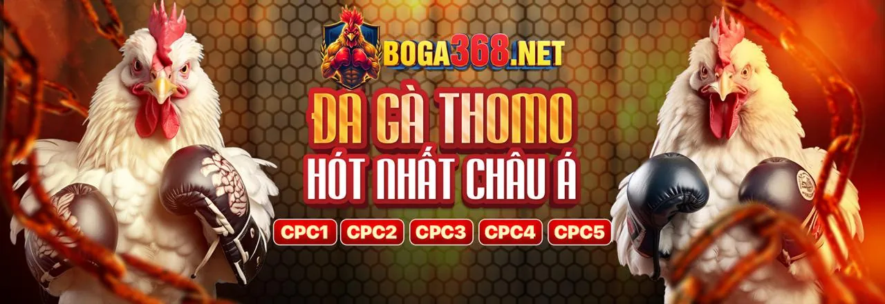 Hình ảnh nền tảng cá cược trực tuyến PG88